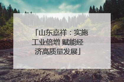 山东嘉祥：实施工业倍增 赋能经济高质量发展